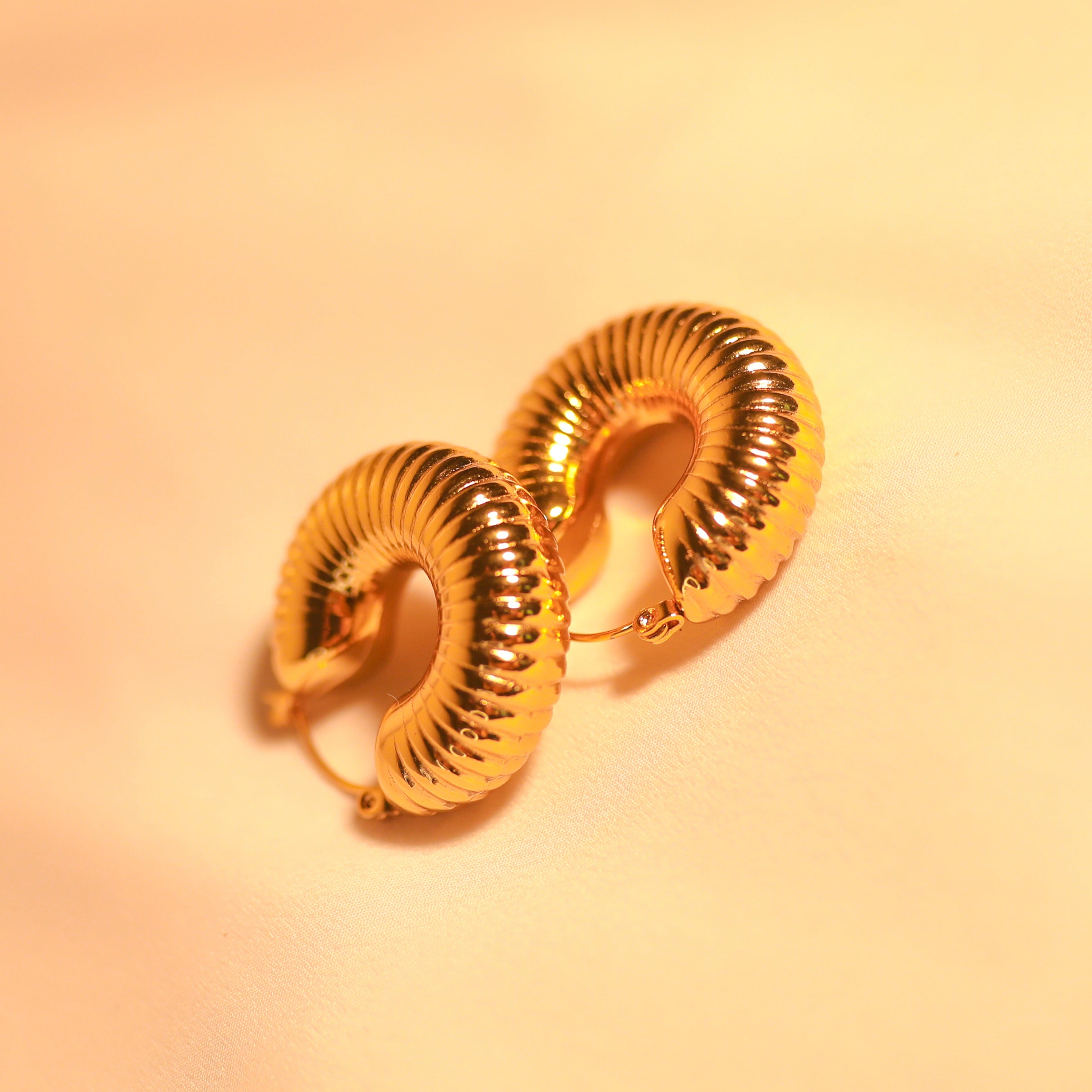 Anti-Tarnish Hoops Earrings -147